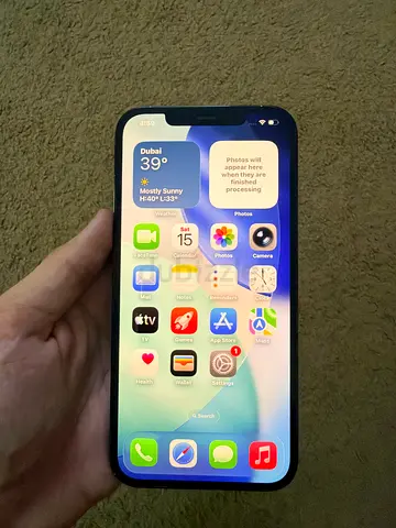iPhone 12 Pro Max