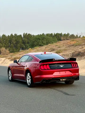 2020 FORD MUSTANG 照片 5