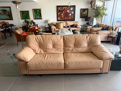 Roche Bobois Vintage Sofa