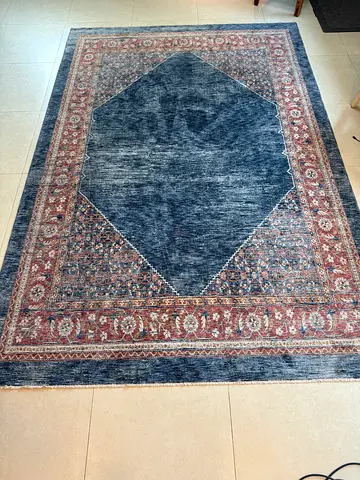 Amira collection Persian rug