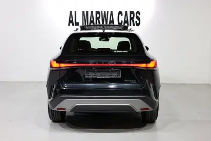 2023 Lexus RX-SERIES photo 6