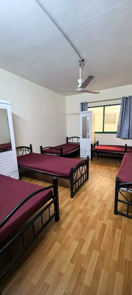 gallery-image