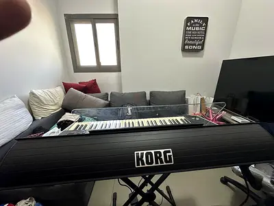 Korg Pa4X Arranger Keyboard with stand and Hard cover in excellent condition.