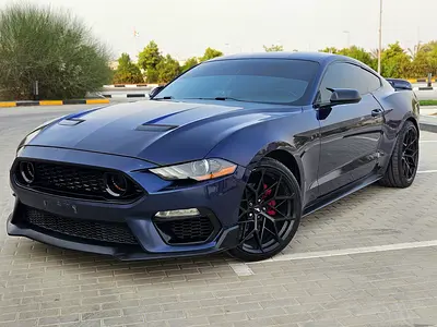 Ford Mustang Ecoboost 2019 - American Specs - Pristine Condition With Low KM Very Neat And Clean
