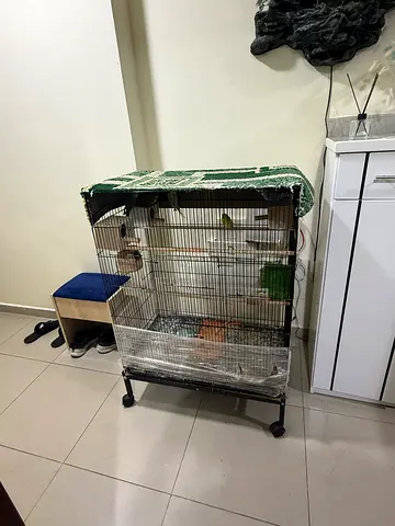 Bird cage