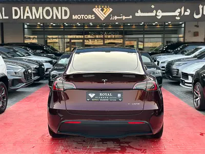 2024 Tesla MODEL Y 照片 5