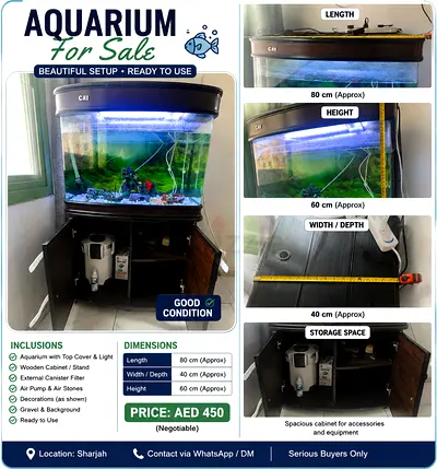 Fish tank with accessories