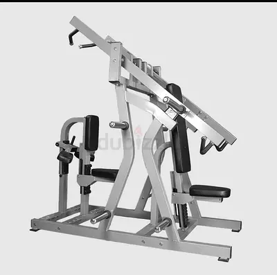 Seated Chest and Lat Pull-down