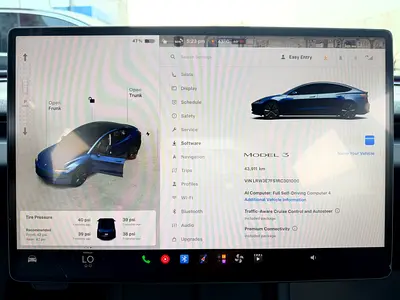 2024 Tesla MODEL 3 缩略图 11