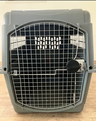 Dogs carriers for air travel