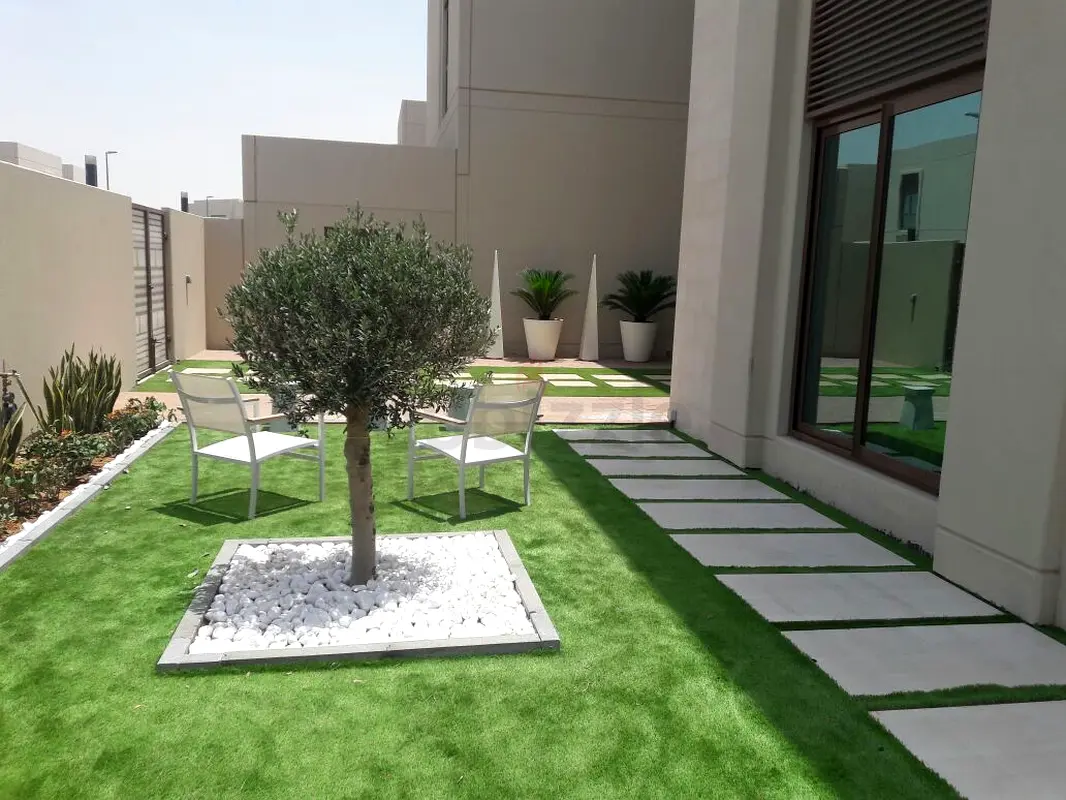 DPV_View_Image_3