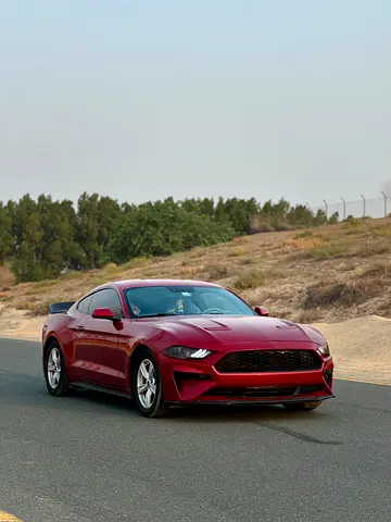 2020 FORD MUSTANG 照片 3