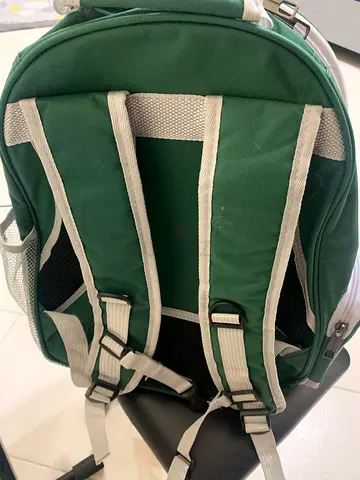 Cat Backpack