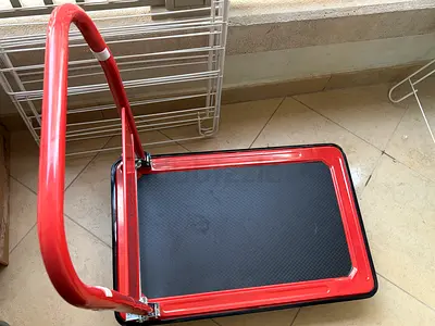 ACE Folding Platform Cart – Like New