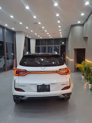 Kaiyi X3 Pro Luxury, миниатюра 18