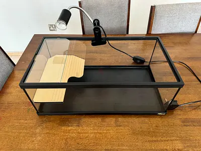 Glass Turtle Tank with Basking Platform and Heat Lamp