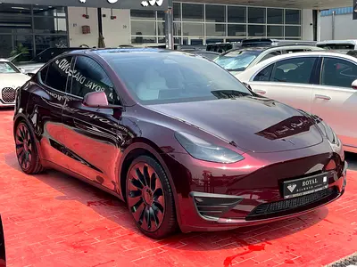2024 Tesla MODEL Y 照片 3