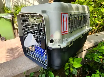 Dogs carriers for air travel with metal mesh attached
