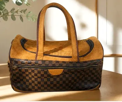 Louis vuttion Master Quality Treavling bag