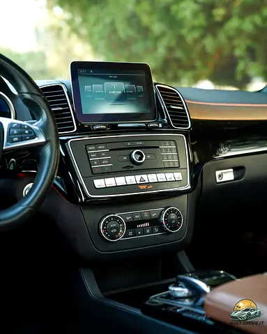 2016 Mercedes-BENZ GLE 缩略图 11