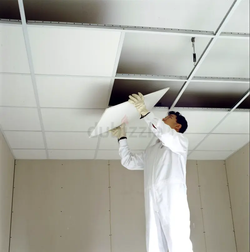 DPV_View_Image_3