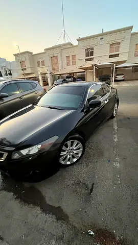 2010 Honda ACCORD 照片 11