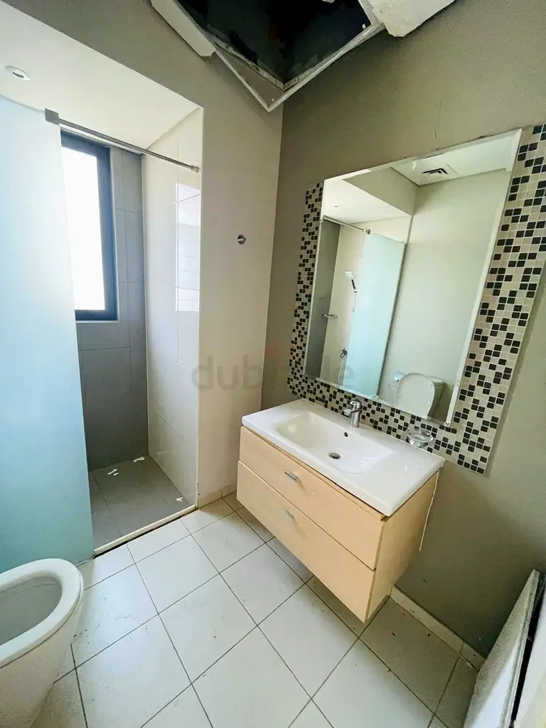 DPV_View_Image_3