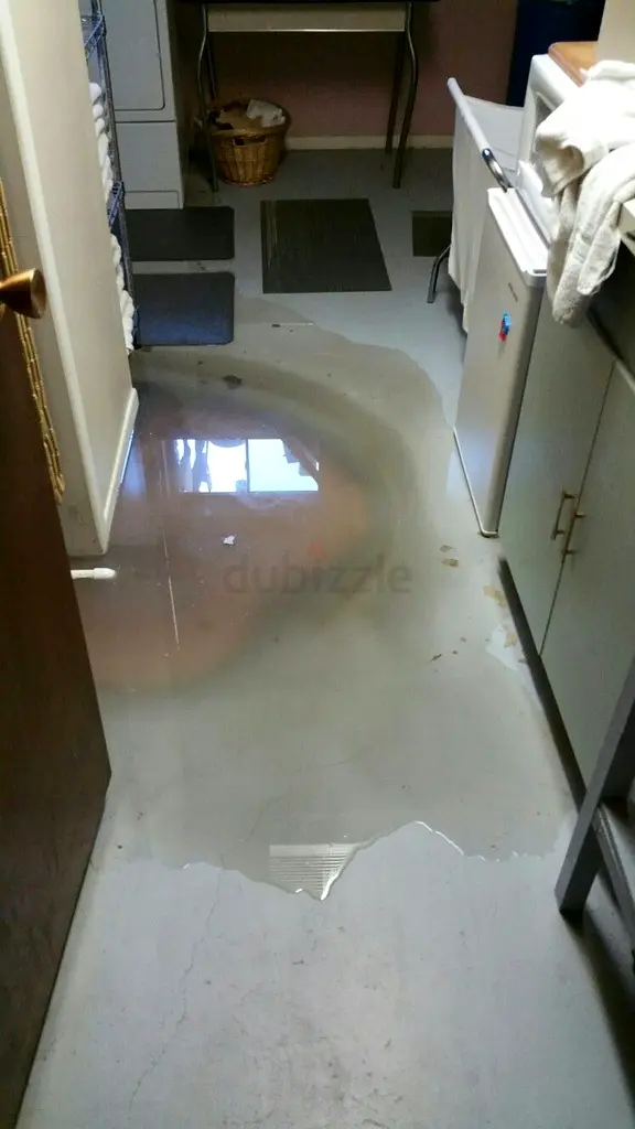 DPV_View_Image_2