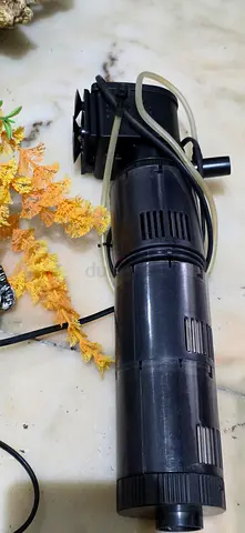 Aquarium filter and plants for free