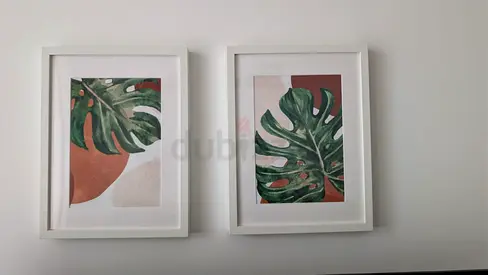 Picture Frames (Ikea 12x16") - Move Out Sale