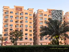 A Great Deal Apartment | Prime Location | Near Handover | Lowest Price in Al Ameera Village