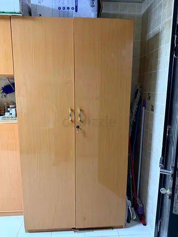 Wooden 2-Door Storage Cabinet