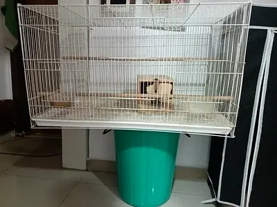 White metal bird cage with perches and removable tray - used