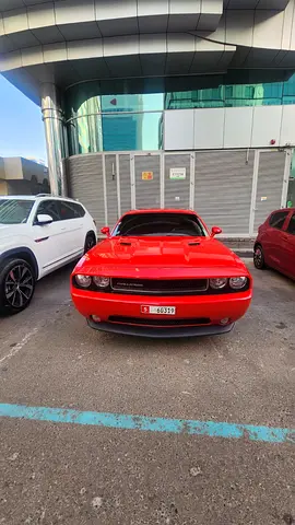 2014 Dodge CHALLENGER 照片 11