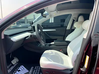 2024 Tesla MODEL Y 照片 8