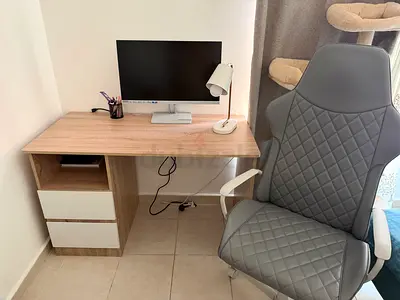 Compact wooden study desk with storage and chair