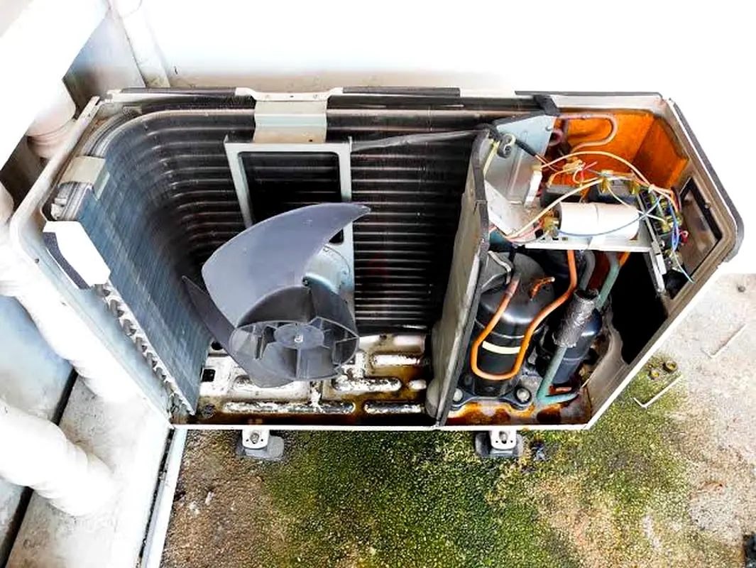 DPV_View_Image_0