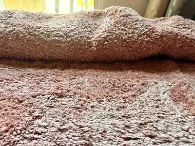 Carpet in mint condition