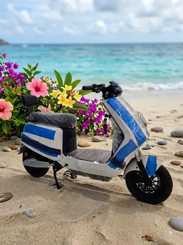 Large electric scooter