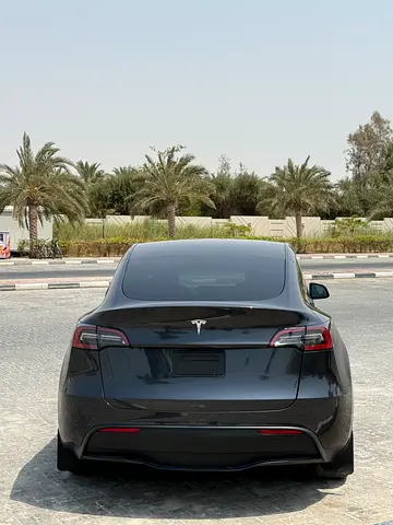 2025 Tesla MODEL Y — фото 6
