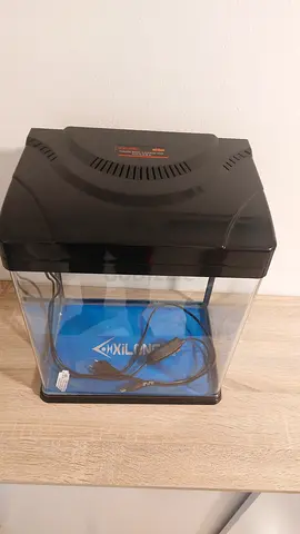 Small desktop aquarium with lid and filter - good condition