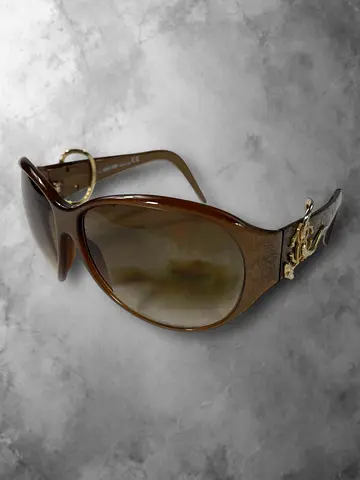 Roberto Cavalli Sunglasses / Eyeglasses Hard Case