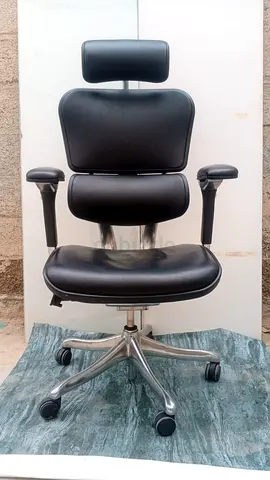 Ergohuman office chair