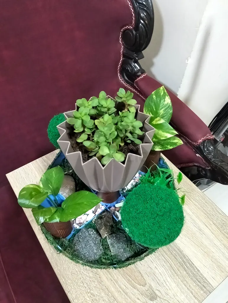 DPV_View_Image_1