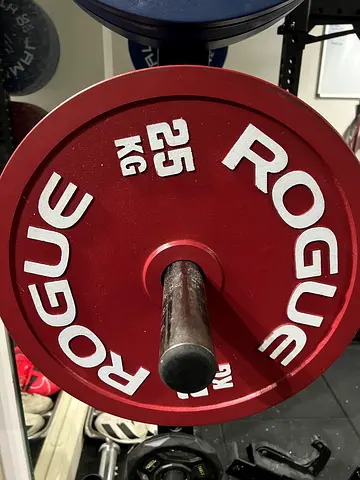 Rogue 25kg Olympic Bumper Plate (pair) - Very Good Condition