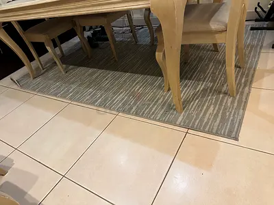Carpet/Rugs