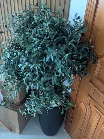 Large artificial potted olive tree - green foliage in black planter