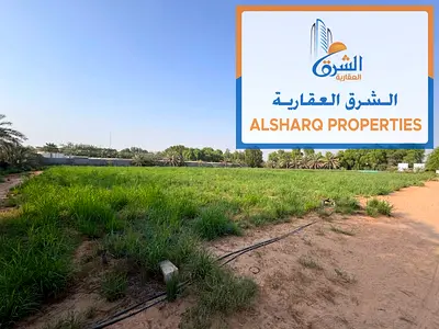 A prime agricultural lease opportunity in Al Zubair, Sharjah