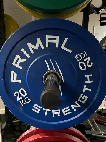 Set of Olympic Bumper Plates (20kg each) - Good Condition