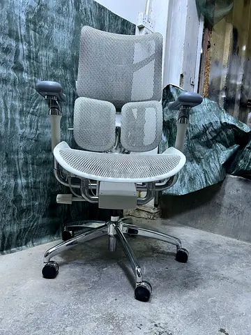 Sihoo S300 Office Chair with Lumber Support For Back Pain Relief